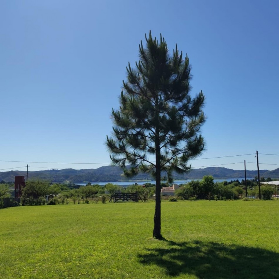 CASA QUINTA EN ALQUILER - POTRERO DE GARAY - PET FRIENDLY 