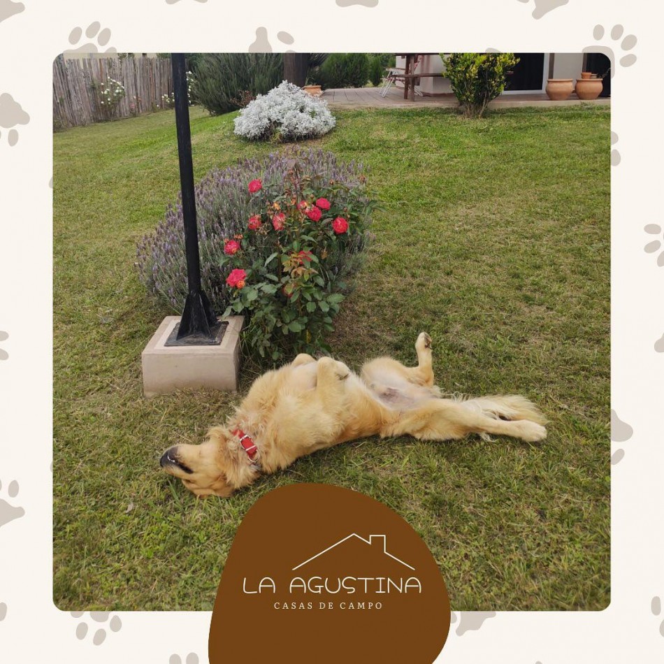 CASA QUINTA EN ALQUILER - POTRERO DE GARAY - PET FRIENDLY 