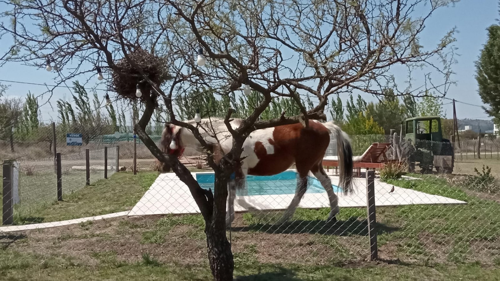 COMPLEJO DE 4 CABAÑAS VENTA LOS ESPINILLOS - POTRERO DE GARAY 
