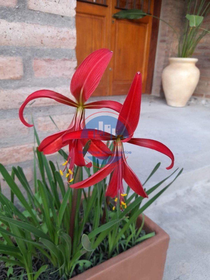 VENDO CASA DE 3 DORMITORIOS EN DIQUE CHICO - CORDOBA - APTO CREDITO