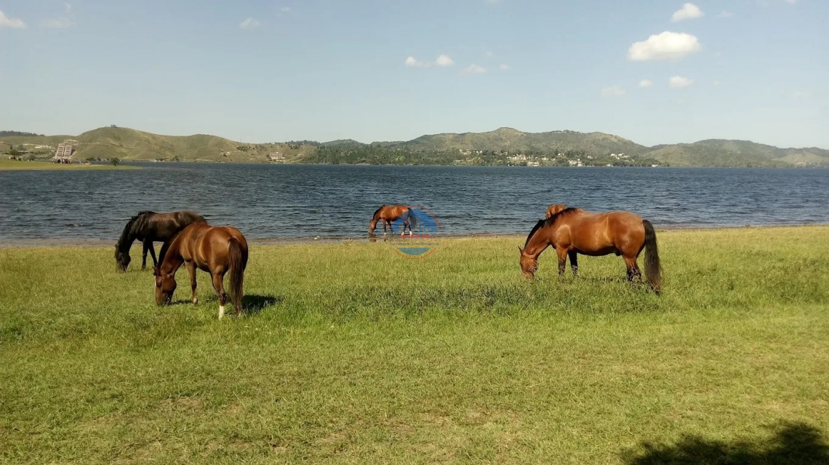 oportunidad - COMPLEJO 6 unidades CON BAJADA AL LAGO - POTRERO DE GARAY 