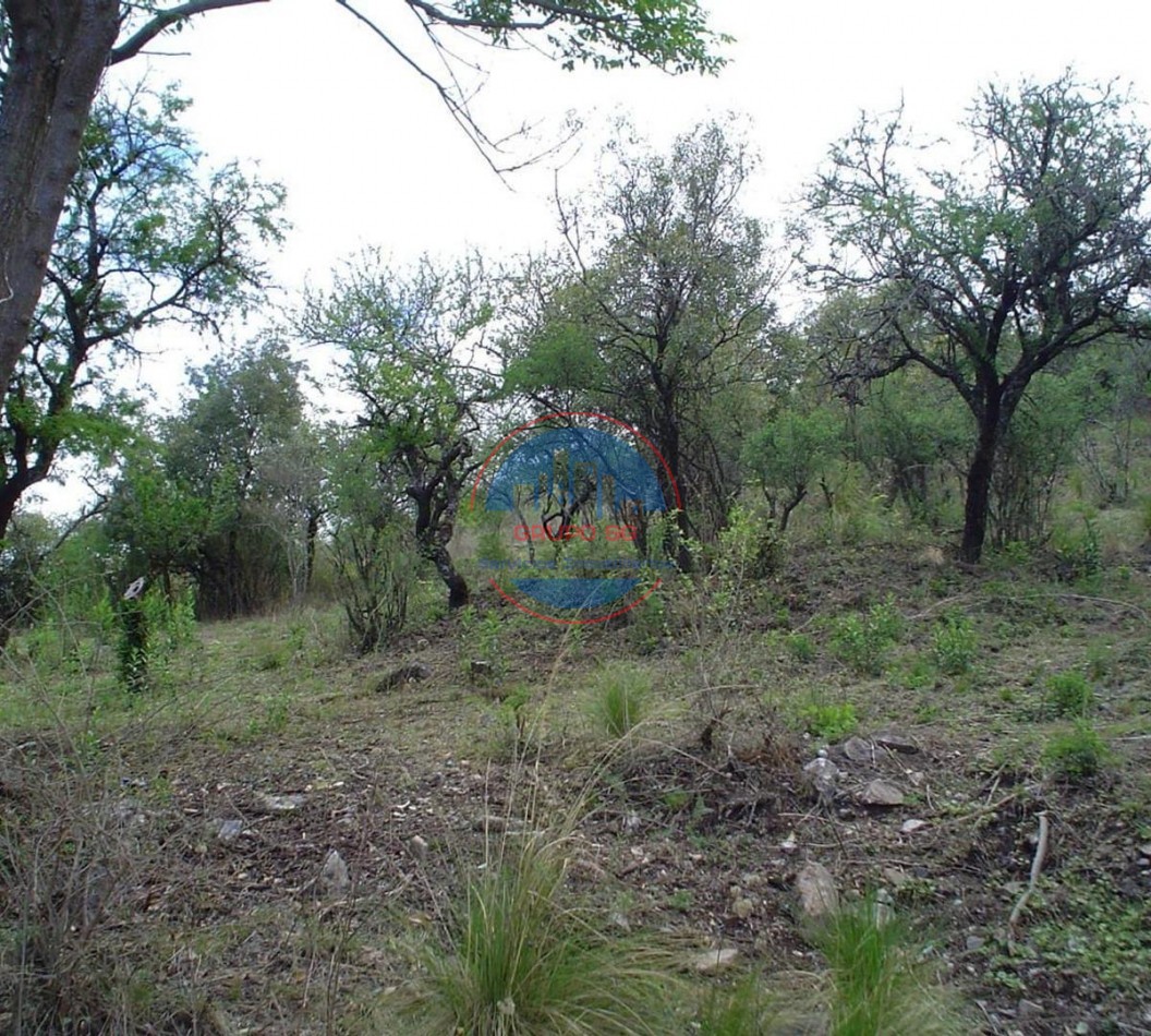 VENTA DE TERRENO EN UNQUILLO, CORDOBA - GRUPO SG