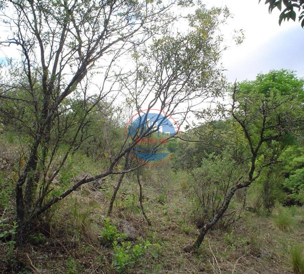 VENTA DE TERRENO EN UNQUILLO, CORDOBA - GRUPO SG